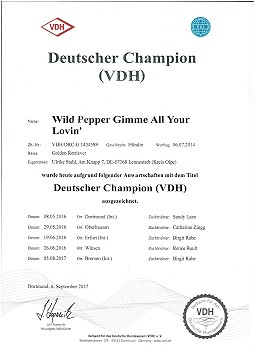 Deutscher Champion 