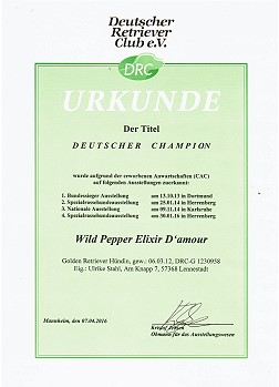 Deutscher Champion DRC 
